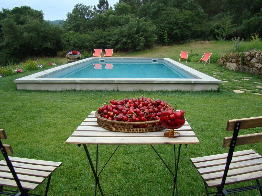 Pensjonat Quinta De Seves Covilhã Zewnętrze zdjęcie