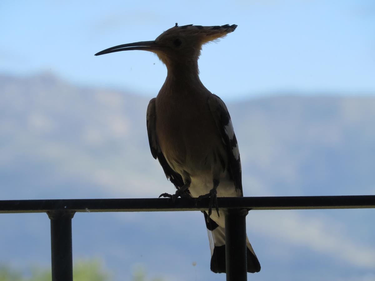 Pensjonat Quinta De Seves Covilhã Zewnętrze zdjęcie